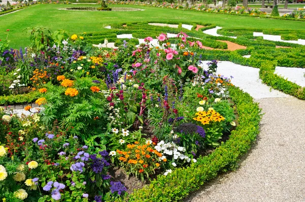 Encantador macizo de flores en el parque de verano — Foto de Stock