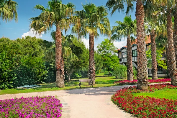 Tropical palm trees and flower beds — Stockfoto