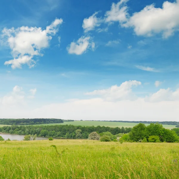 Groen veld en blauwe bewolkte lucht — Stockfoto