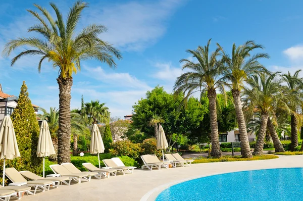 室外游泳池和美丽的棕榈树 — 图库照片