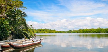 nehir, yağmur ormanı ve zevk tekneler