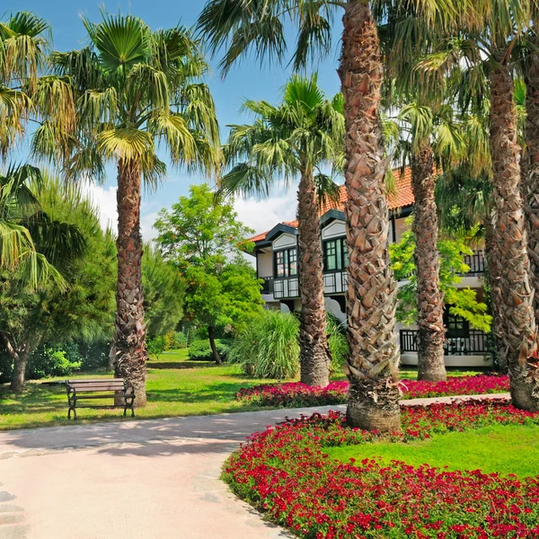 Landschap met palmbomen en bloemperken — Stockfoto