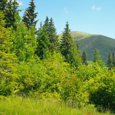  Dağ doruklarına mavi gökyüzü