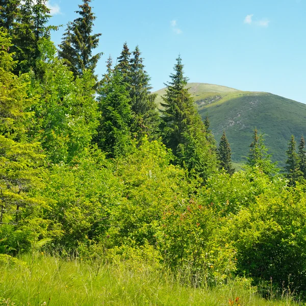 Bergstoppar mot den blå himlen — Stockfoto