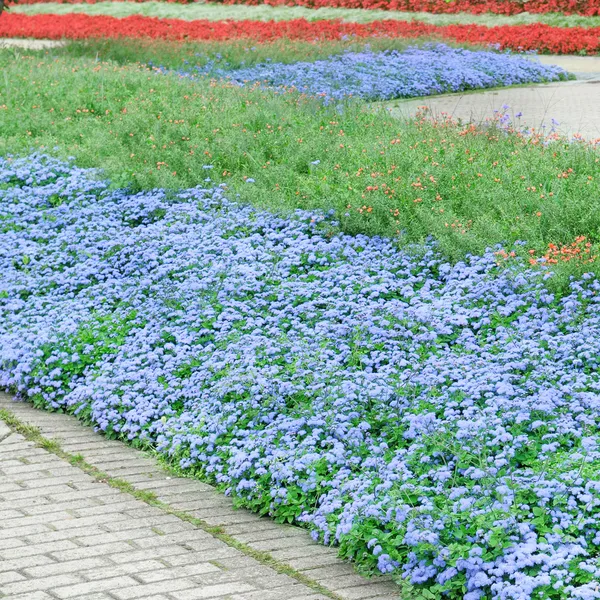 Hermosos macizos de flores y caminos — Foto de Stock