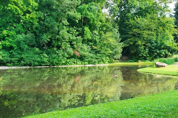 Lago panoramico nel parco estivo — Foto Stock