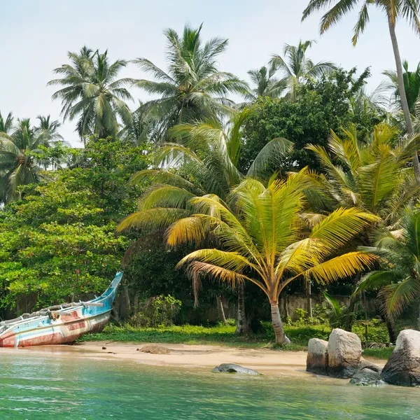 Lago, palmeiras tropicais e barco — Fotografia de Stock