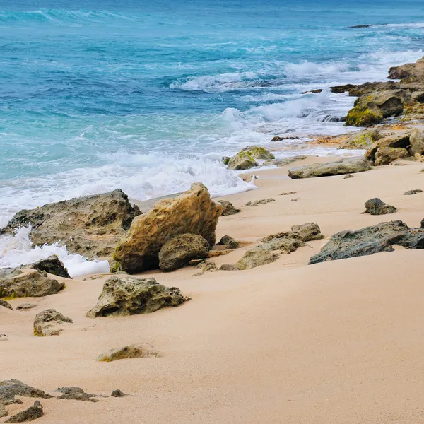 Picturesque sandy coastline — Stock Photo, Image