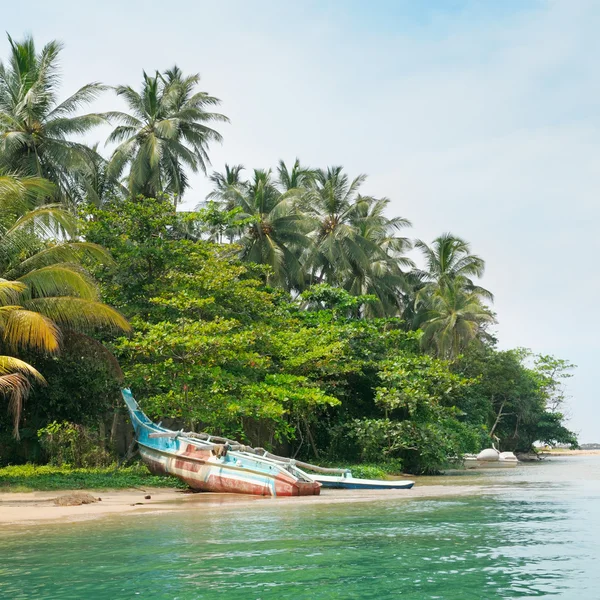 Lago, palmeiras tropicais e barco — Fotografia de Stock