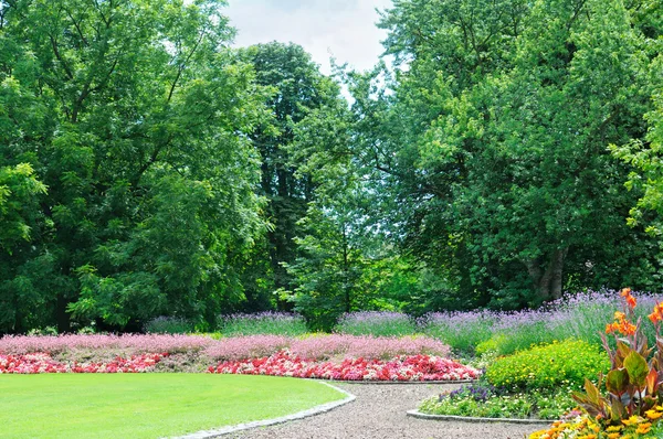 Blossoming flowerbeds in the park — Stock Photo, Image