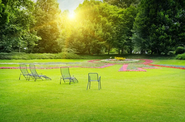 Mooie zomerse park — Stockfoto