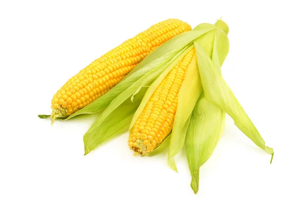 Corn on the cob  on white background — Stock Photo, Image