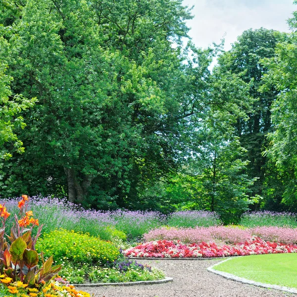 公園内の花壇の開花 — ストック写真