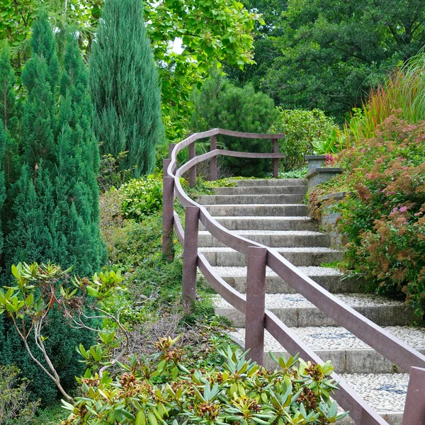 Útulný park s schody a keře — Stock fotografie