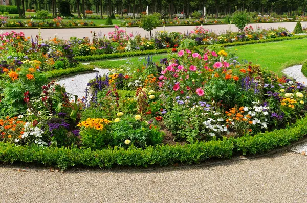 Lush Flower Beds Summer Garden Bright Sunny Day — Stock Photo, Image