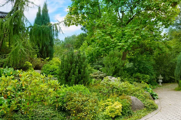 Şehir parkında selvi, haydut, manolya ve güzel yürüme yolları var..