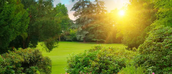 Acogedor Jardín Ciudad Con Césped Verde Muchas Flores Atardecer Foto —  Fotos de Stock