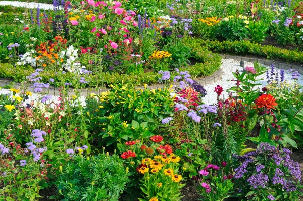 Lush Flower Beds Summer Garden Bright Sunny Day — Stock Photo, Image