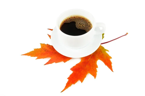 Tasse Kaffee Und Gelbes Ahornblatt Isoliert Auf Weißem Hintergrund — Stockfoto