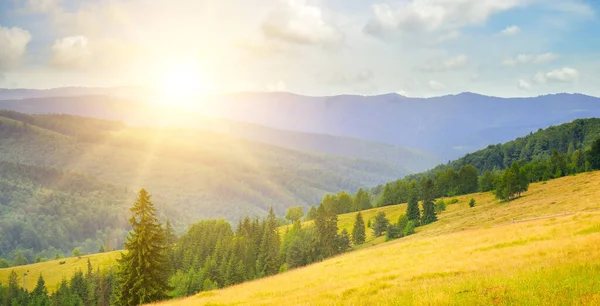 Resimli dağlar, çimenli çayırlar, güneş ve orman tepeleri. Konsept - tatil ve seyahat. Geniş resim.