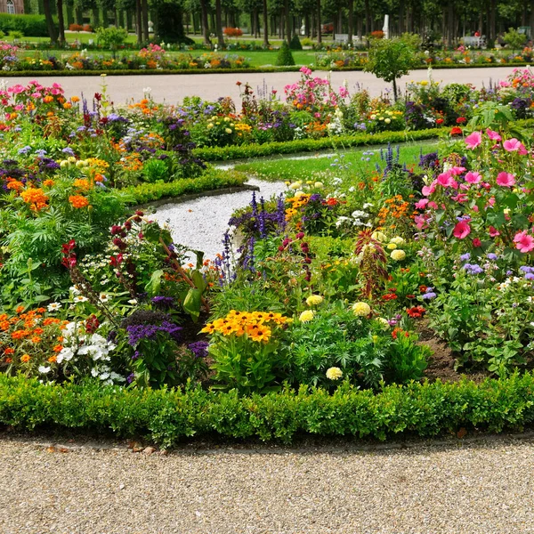 Des Parterres Luxuriants Dans Jardin Été — Photo