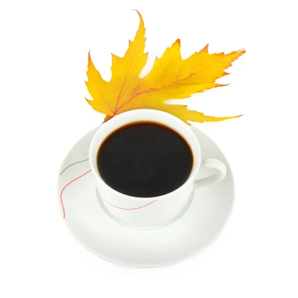 Beyaz Arka Planda Izole Edilmiş Bir Fincan Kahve Sarı Akçaağaç — Stok fotoğraf