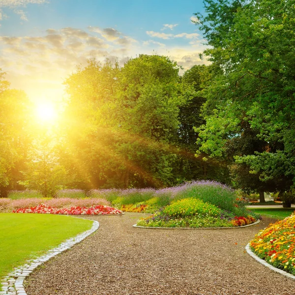 緑の芝生と日の出に多くの花を持つ都市の庭 — ストック写真