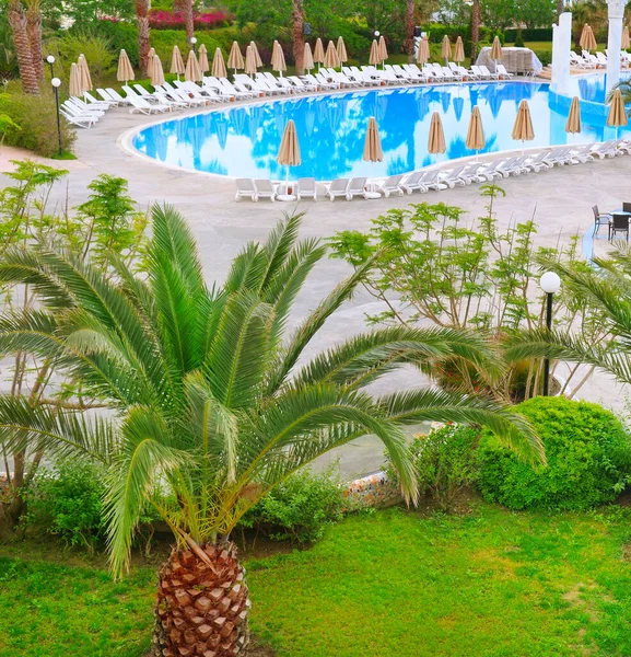 Türkiye Palmiye Bahçesindeki Yüzme Havuzunun Yanında Güneş Panjurları Şemsiyeler — Stok fotoğraf