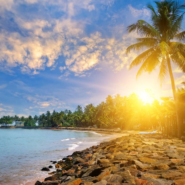 Prachtige Zonsondergang Boven Een Tropisch Strand Met Palmbomen Reizen Vakantie — Stockfoto