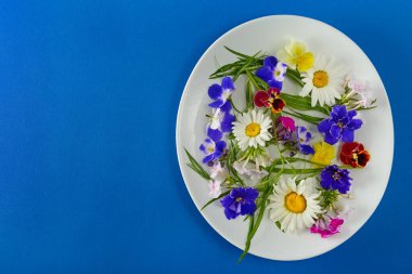 Mavi arkaplanda beyaz çerçeveli papatya, fenomen ve menekşe deseni..