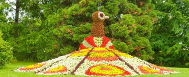 Alman çiçek adası Insel Mainau 'da çiçek tavus kuşu. Geniş resim.