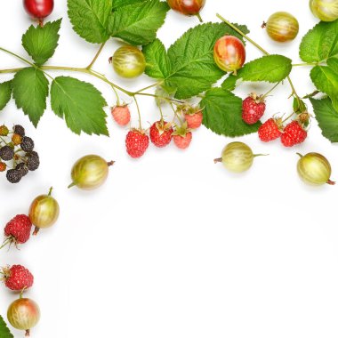 Bektaşi üzümü ve ahududu beyaz arka planda izole edilmiş. Metin için boş alan.