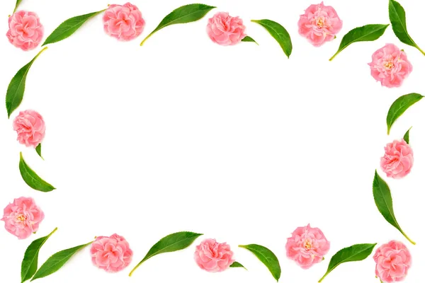 バルサムの花は白地に孤立している テキストのための場所のフレームの形でパターン — ストック写真