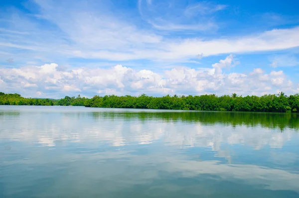 Pittoresco Paesaggio Tropicale Foreste Mangrovie Sulla Riva Del Lago Cielo — Foto Stock