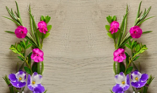 Pattern Phlox Violets Beautiful Gray Background Place Text Congratulations — Stock Photo, Image