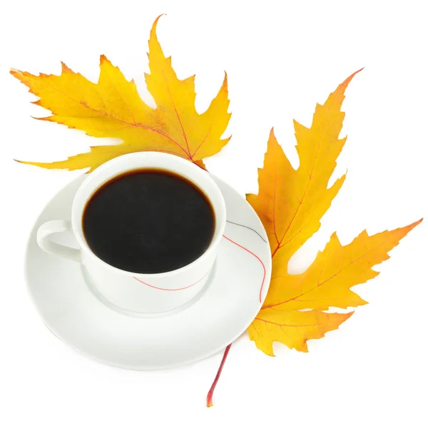 Tasse Kaffee Und Gelbes Ahornblatt Isoliert Auf Weißem Hintergrund — Stockfoto