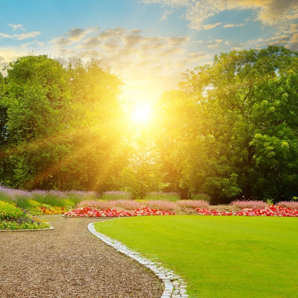 Městská Zahrada Zelenými Trávníky Mnoho Květin Při Východu Slunce — Stock fotografie