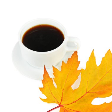 Beyaz arka planda izole edilmiş bir fincan kahve ve sarı akçaağaç yaprağı..