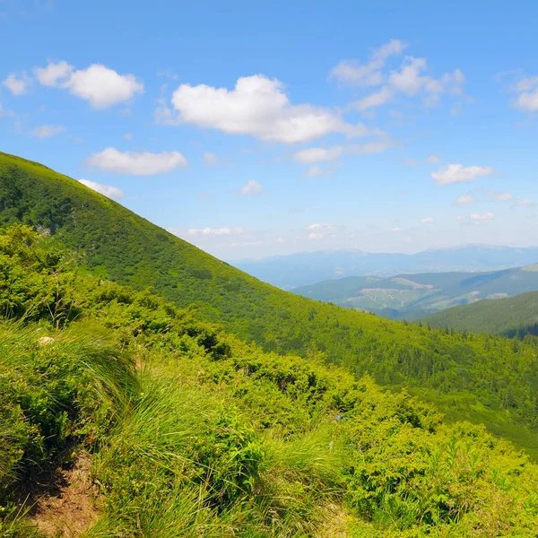 絵のように美しい山の斜面 広大な牧草地と曇りの空 — ストック写真