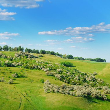 Uzak tepeleri, ağaçları ve bulutlu gökyüzü olan uçsuz bucaksız otlaklar.