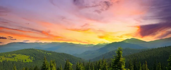 Kleurrijk Zomerlandschap Karpaten Zonsondergang Brede Foto — Stockfoto