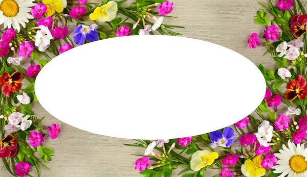 Pattern of daisies, phlox and violets on a beautiful gray background. There is a place for the text of congratulations.