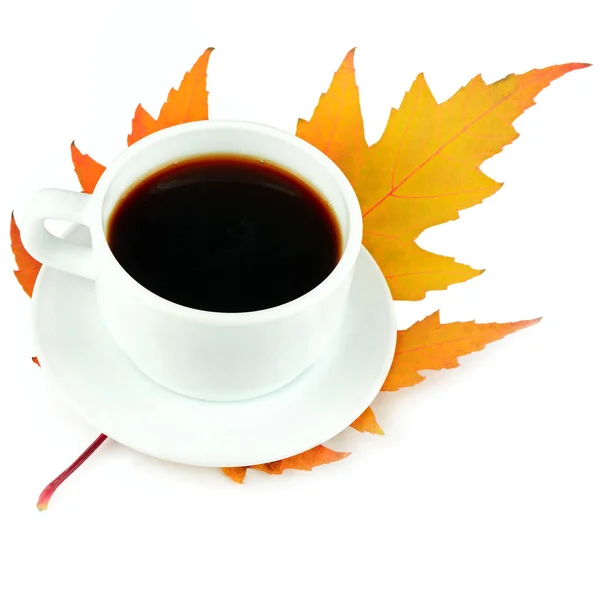 Tasse Kaffee Und Gelbes Ahornblatt Isoliert Auf Weißem Hintergrund Freiraum — Stockfoto