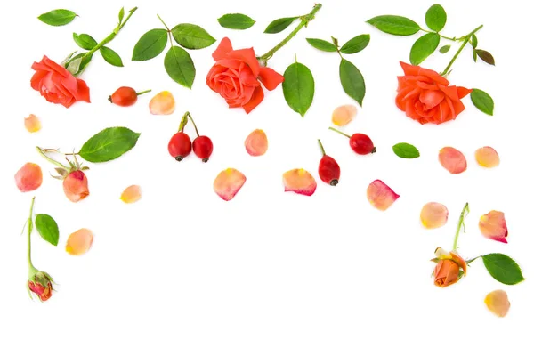 Flores Pétalos Rosa Aislados Sobre Fondo Blanco Patrón Postales Espacio — Foto de Stock