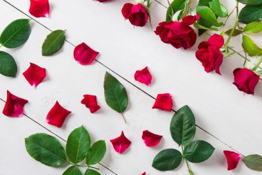 Beyaz arka planda kırmızı güller, taç yaprakları ve yeşil yapraklar. Bir kartpostal için soyutlama.
