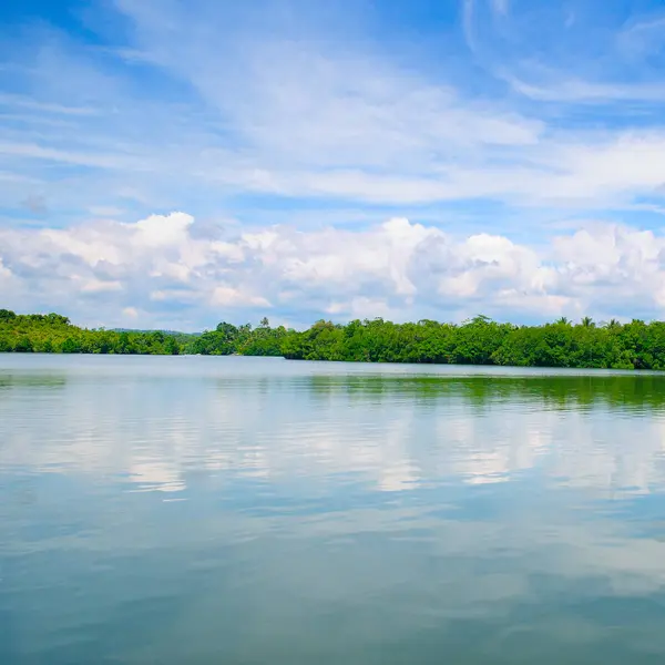 Pintoresco Paisaje Tropical Bosques Manglares Orilla Del Lago Cielo Con —  Fotos de Stock