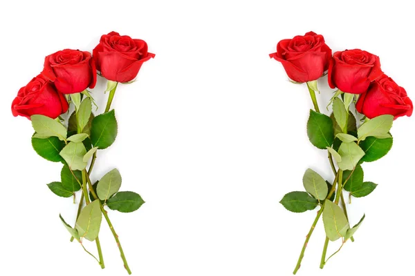 Schöne Rote Rosen Blühen Isoliert Auf Weißem Hintergrund Collage Freiraum — Stockfoto