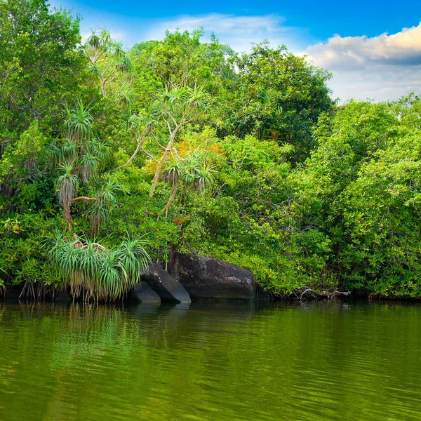 Manglares Tropicales Lago Cielo Azul Concepto Viaje Vacaciones — Foto de Stock