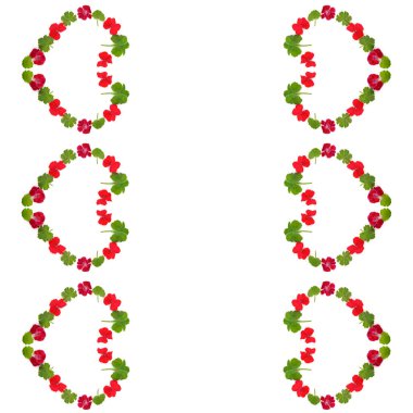 Beyaz arka planda izole edilmiş sardunya çiçeği şeklinde bir desen. Metin için boş alan.