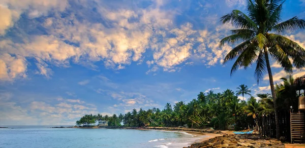 Prachtige Zonsondergang Boven Een Tropisch Strand Met Palmbomen Reizen Vakantie — Stockfoto